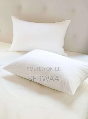 2 Micro Fibre Pillows