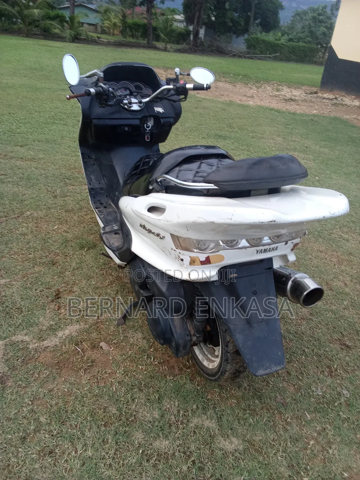 Yamaha Majesty 2017 White