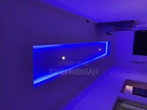 Professional Electrician