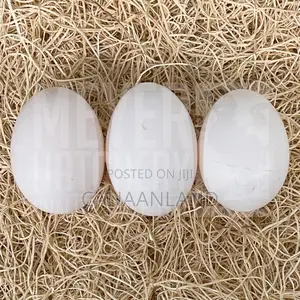 Fertile White Layers Eggs Leghorn
