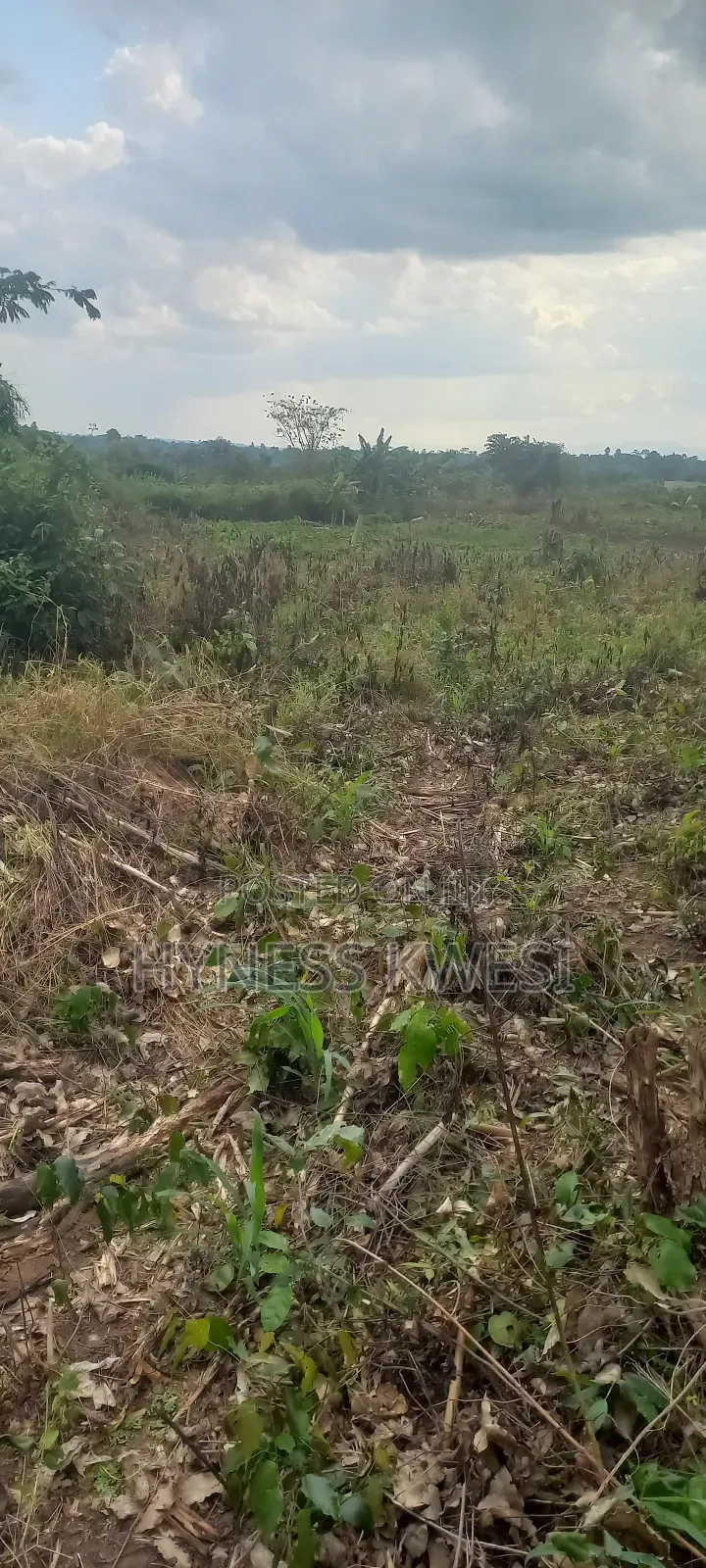 Plots of Lands