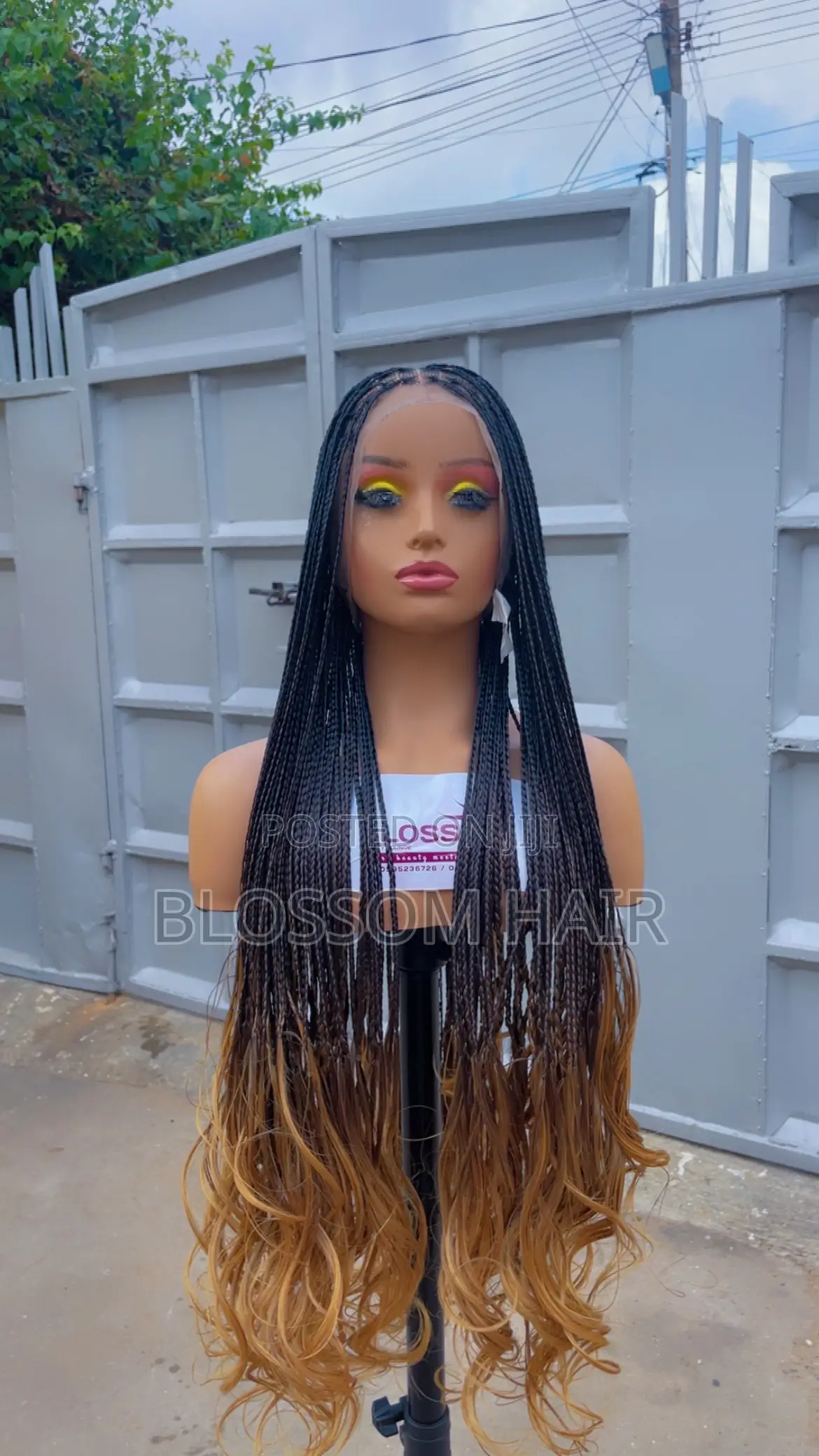 Braided Wigs