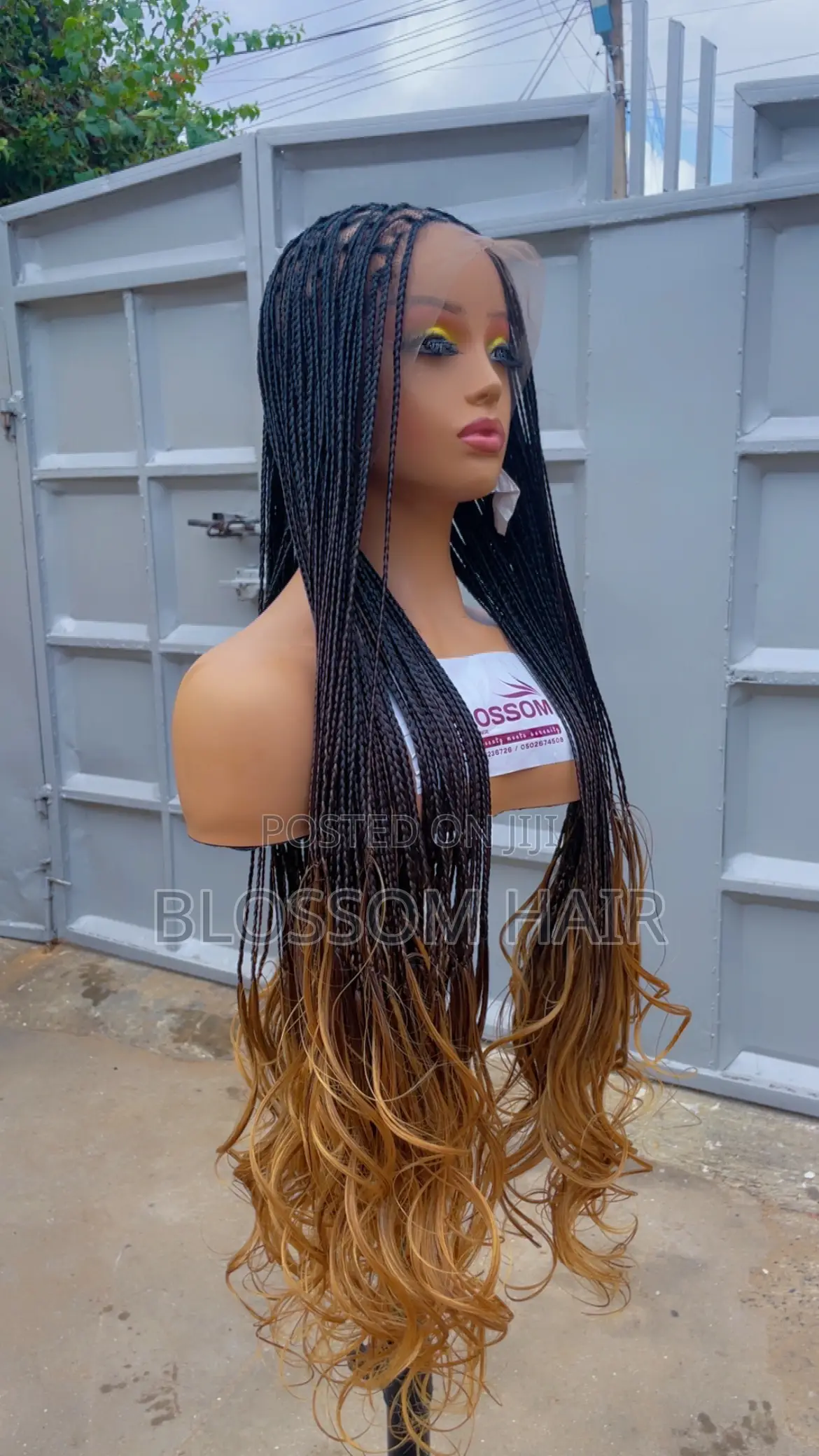 Braided Wigs