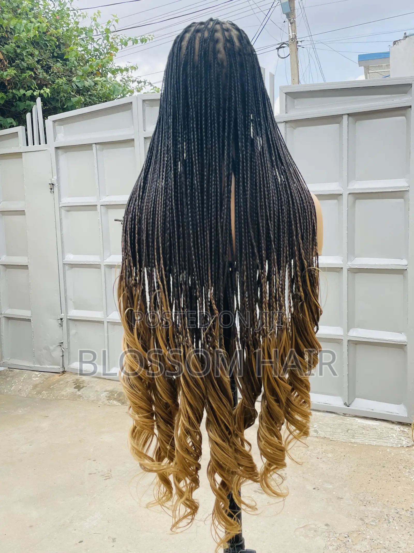 Braided Wigs