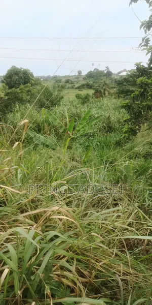 Family Properties