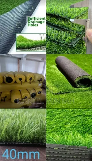 Ccarpet Grass