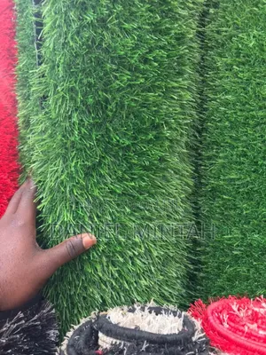 Ccarpet Grass
