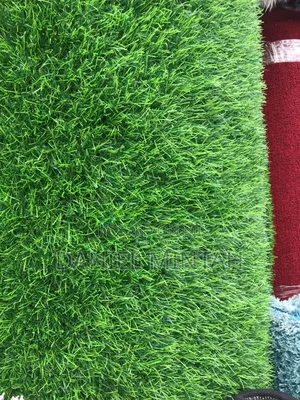Ccarpet Grass