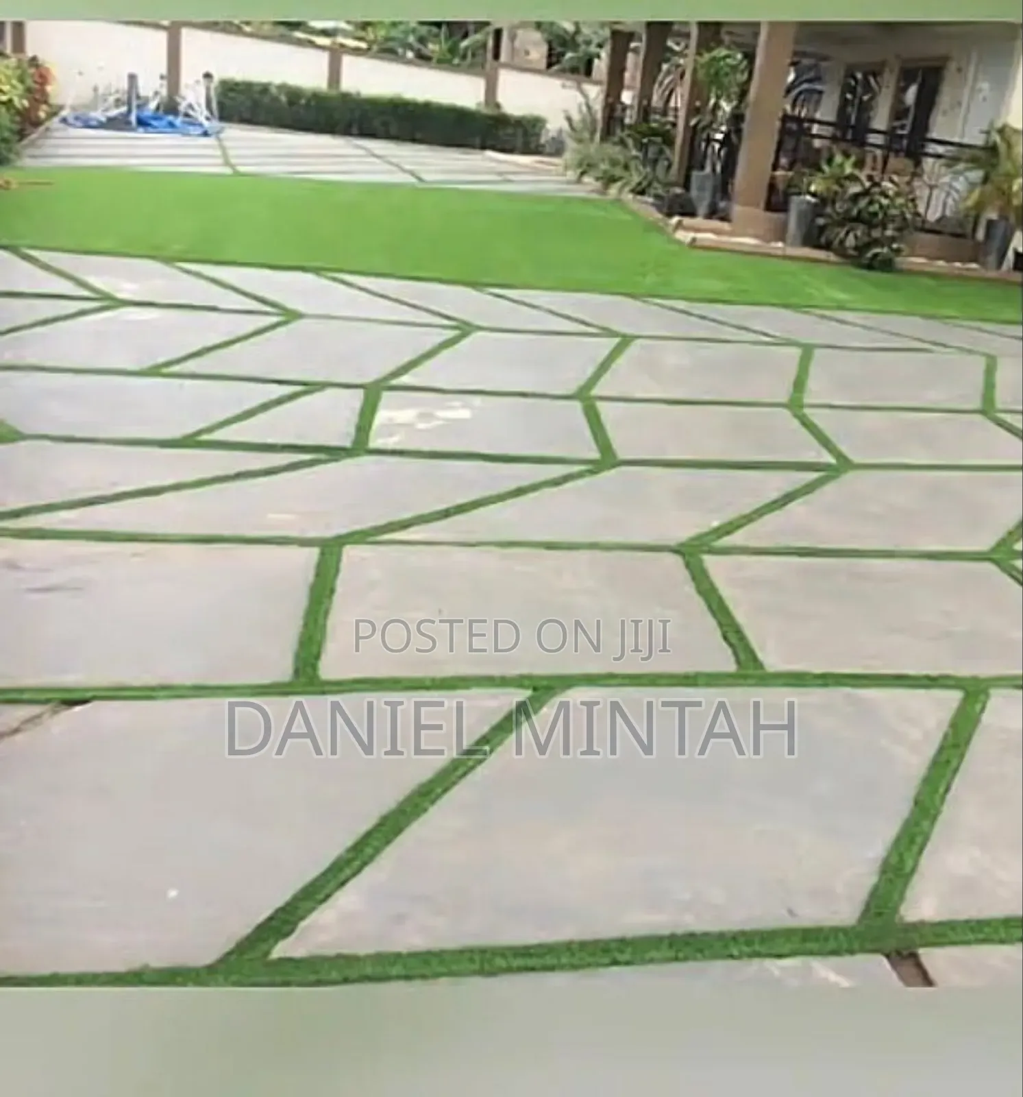 Ccarpet Grass