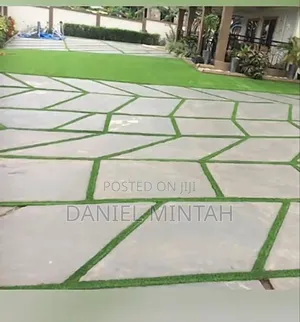 Ccarpet Grass