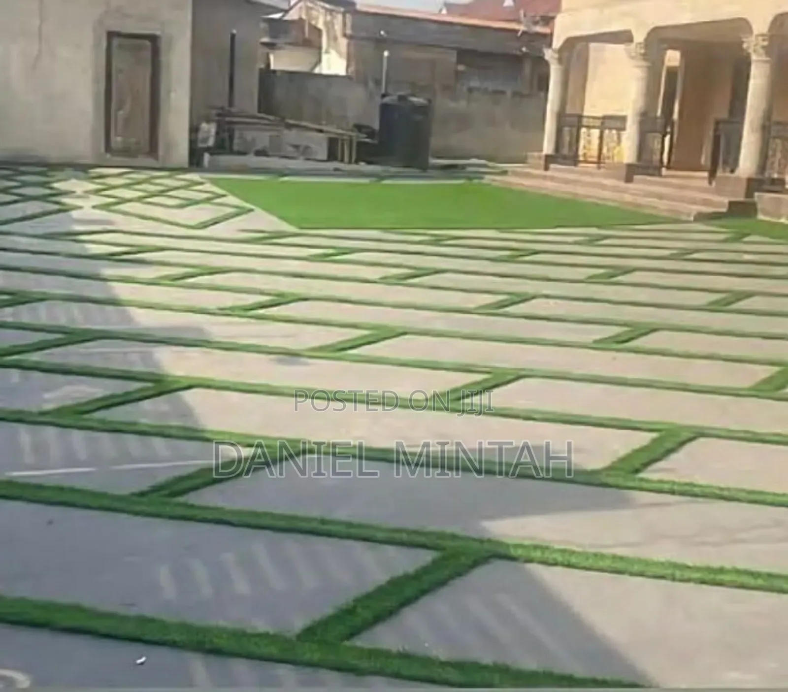 Ccarpet Grass