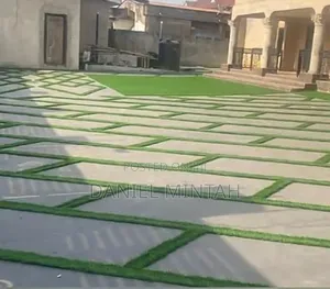 Ccarpet Grass