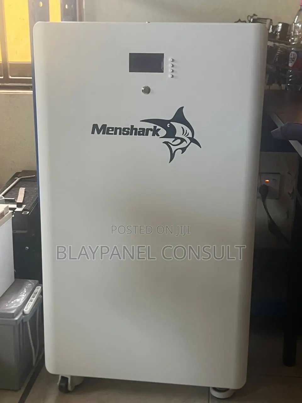 300ah 15kwh 51.2v Lithium Ion Battery