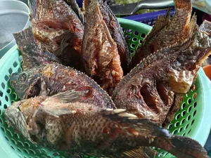 Caterer for Events and Party