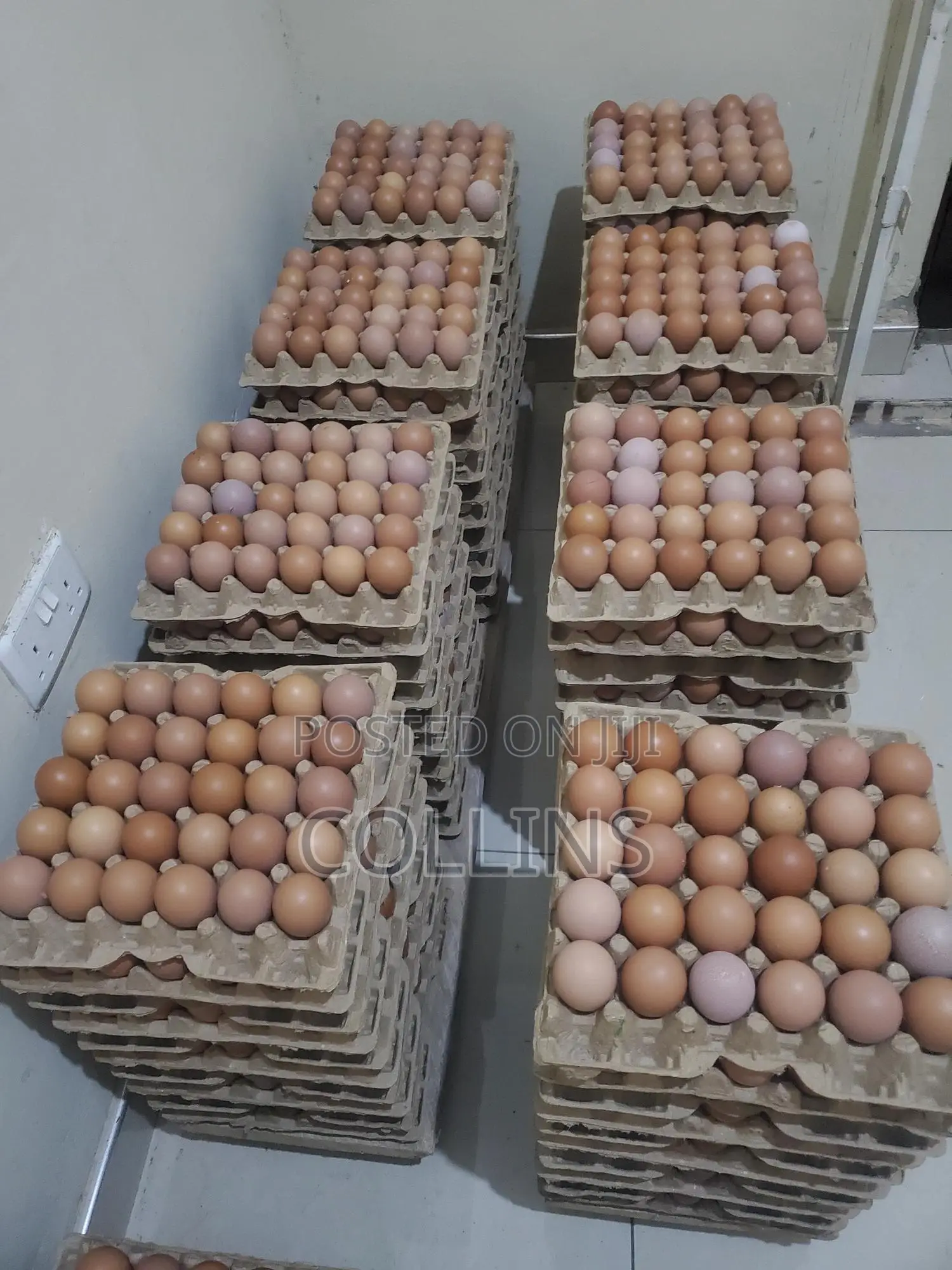 Eggs Available for Sale