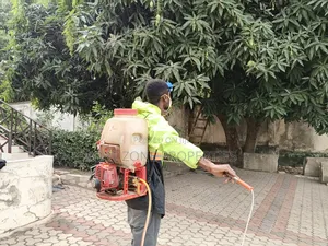 Trees,Gardens,Kitchen,Homes,Guitars Fumigation