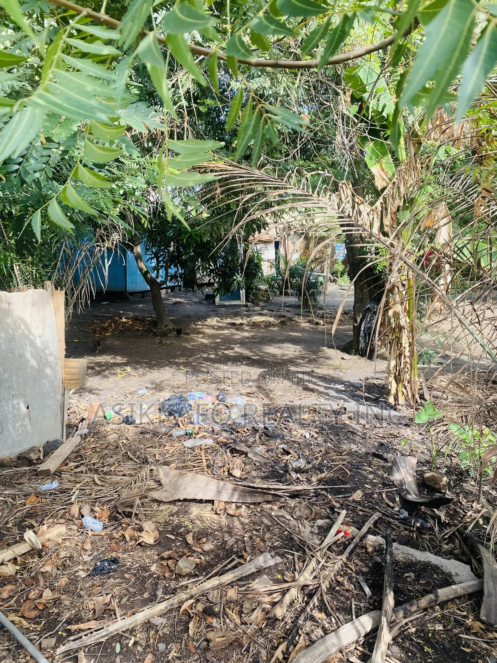 Title Plot of Land Selling in Adjiringanor Motorway