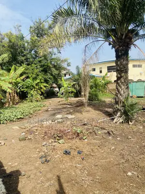 Title Plot of Land Selling in Adjiringanor Motorway