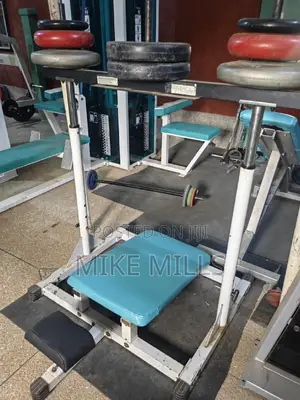 Vertical Leg Press