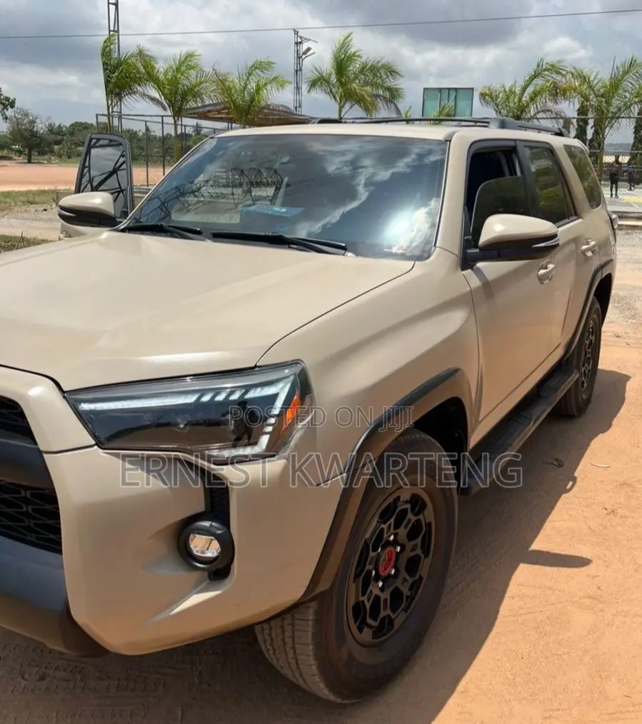 Toyota 4-Runner 2019 Brown