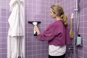 Karcher Window Vacuum Wv2 Plus