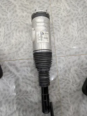 Range Rover Front Air Suspension Shock/Strut