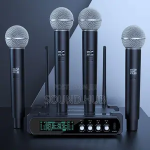 Professional 4 in 1 Microphone