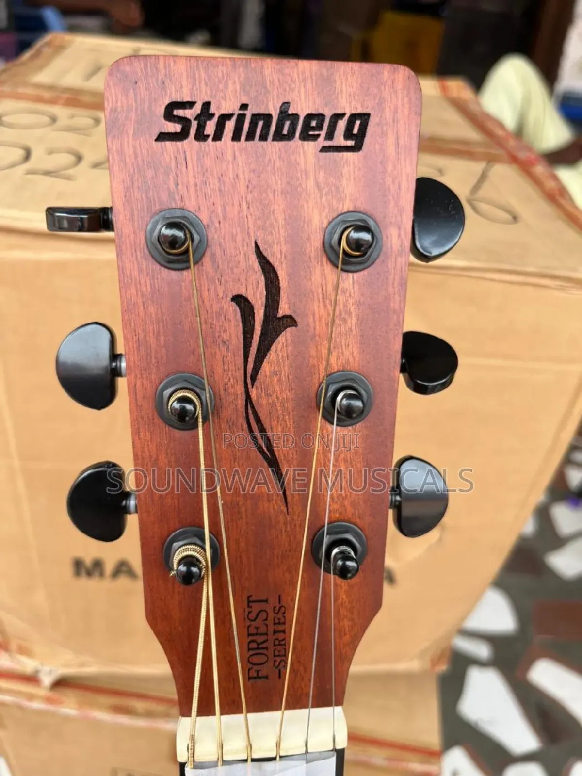 Strinberg Semi Acoustic Guitar (Forest Series)