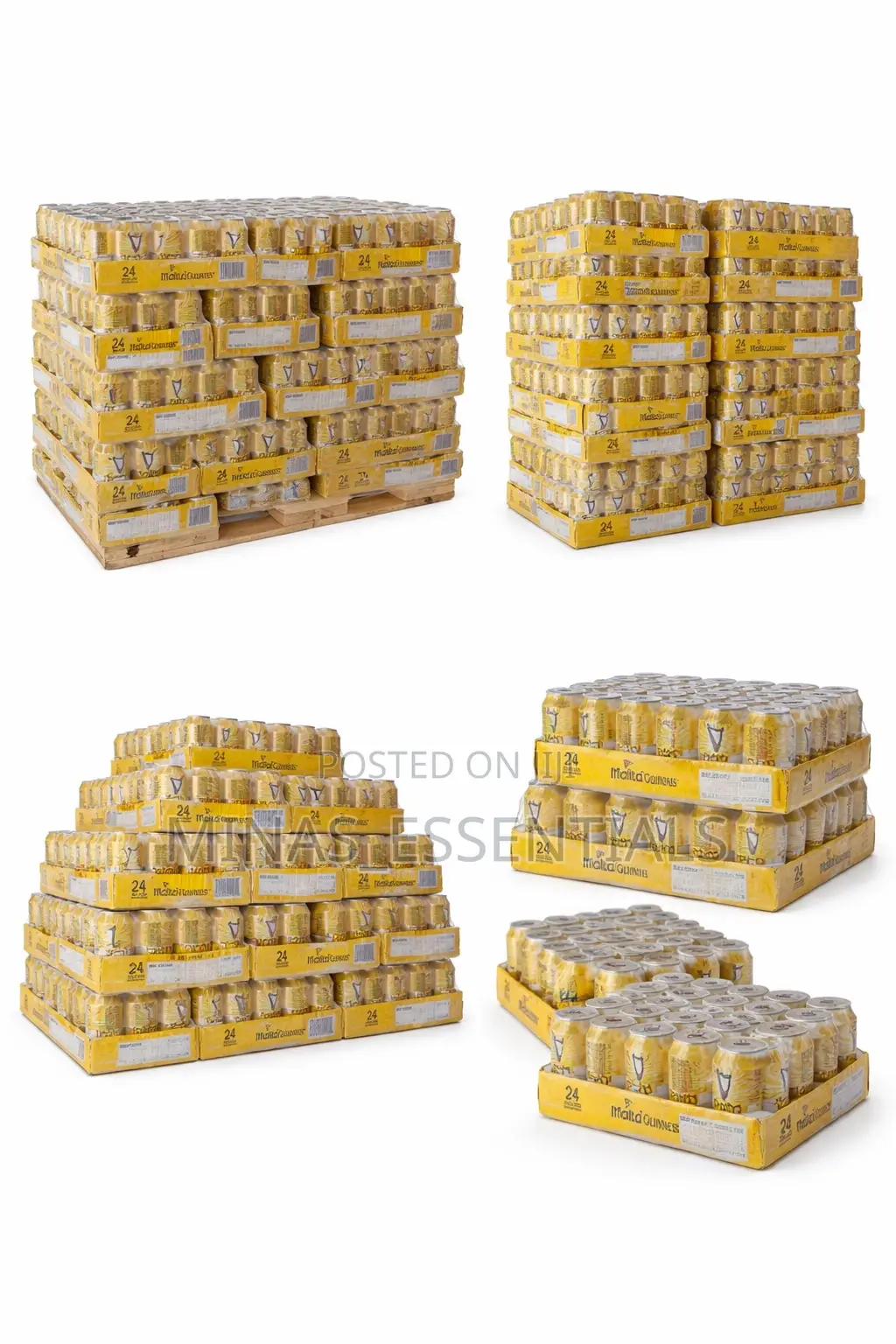 Malt Beverages