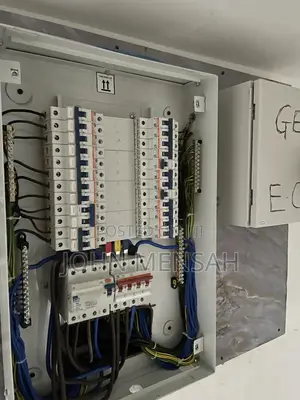 Professional Electrician