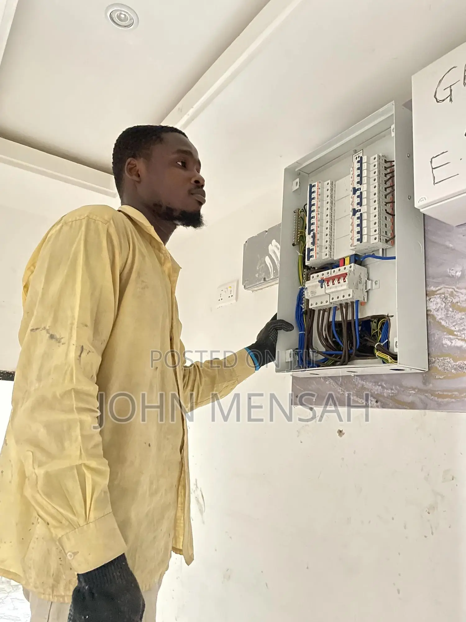 Professional Electrician