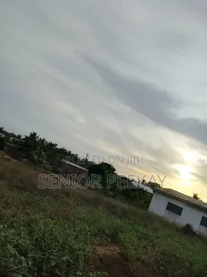 Land Close to Sea Side Is Going for Sale