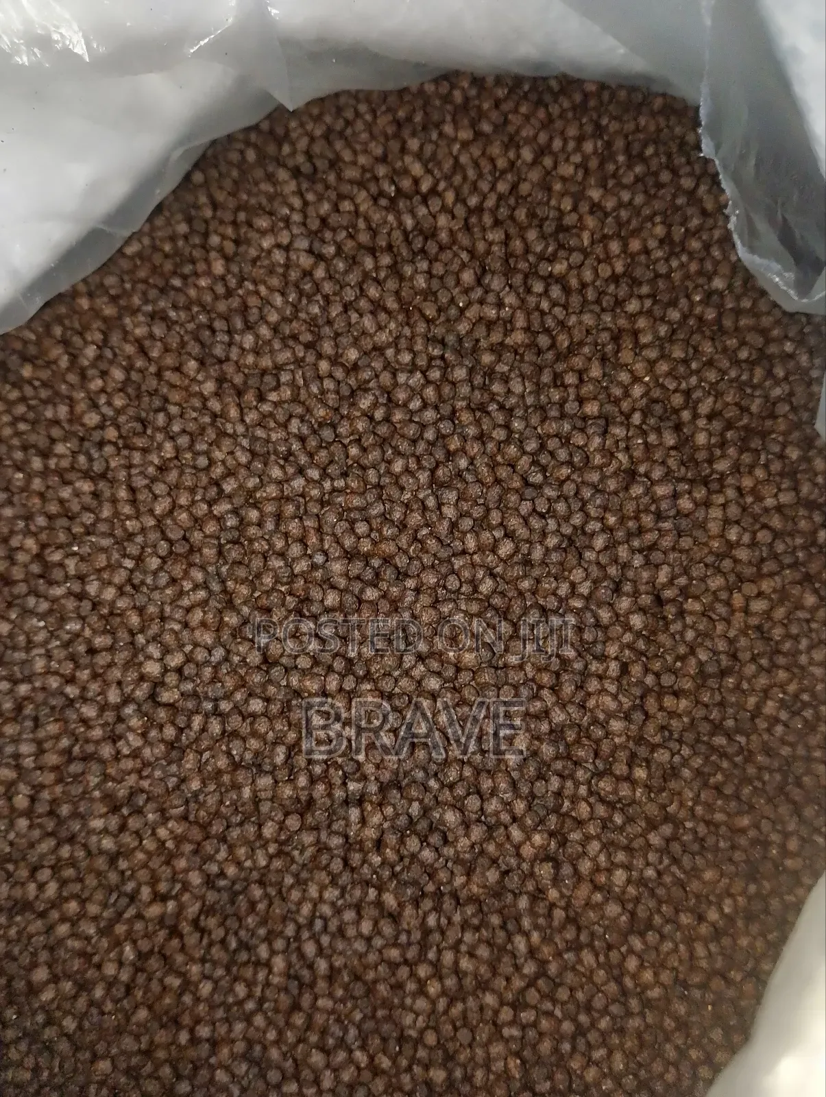 Cat Fish Feed 35ghc Per Kg