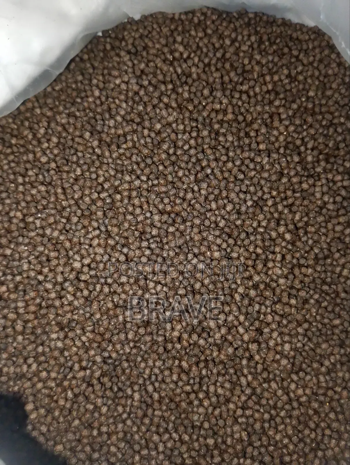 Cat Fish Feed 35ghc Per Kg