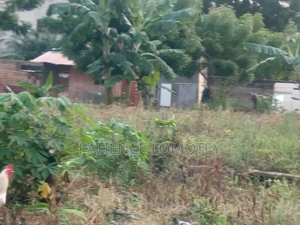 0.18 Acre Land Behind Rehoboth Est , After Dvla