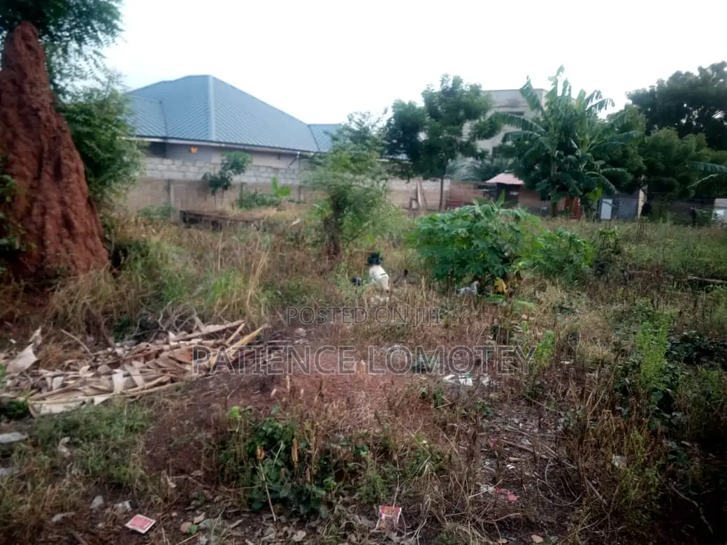 0.18 Acre Land Behind Rehoboth Est , After Dvla