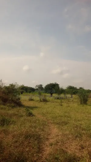 Farm Land for Sale at Adeiso