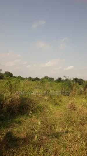 Farm Land for Sale at Adeiso