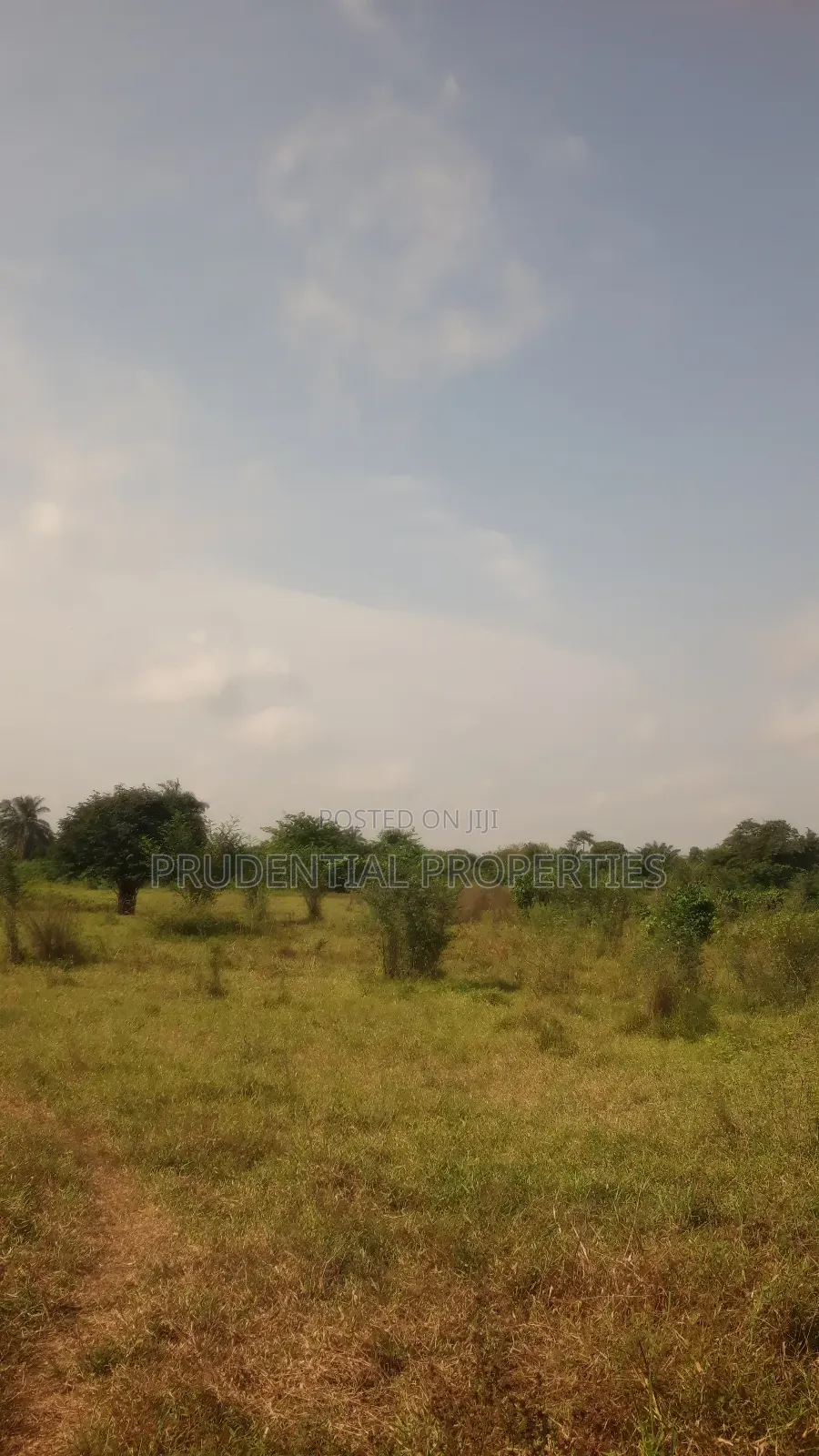 Farm Land for Sale at Adeiso