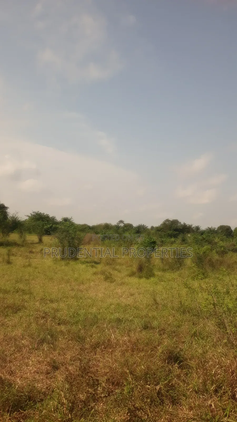 Farm Land for Sale at Adeiso
