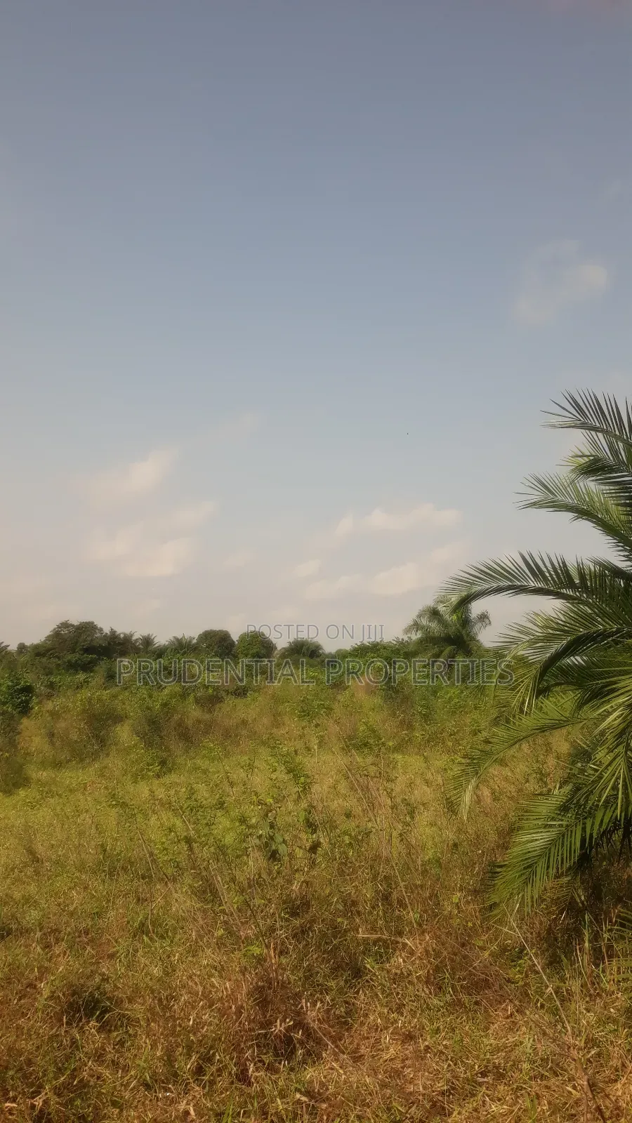 Farm Land for Sale at Adeiso
