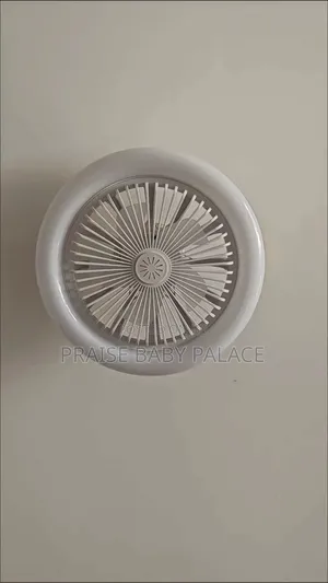 Light and Fan With Remote Control