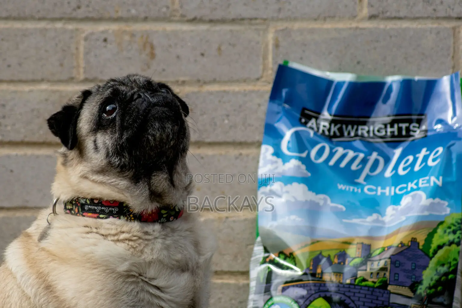 Arkwrights Complete Dog Food 15kg - For Working Active Dogs - Adenta