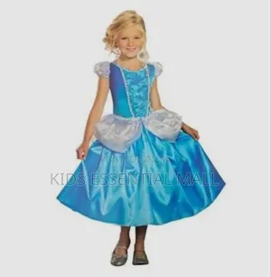 Cinderella Cartoon or Book C Costume for Kids