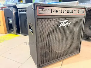 Peavey B-500usb Bass Combo Amplifier.