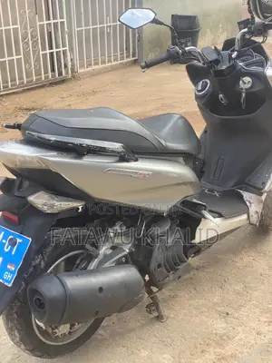Yamaha Majesty 2024 Gray