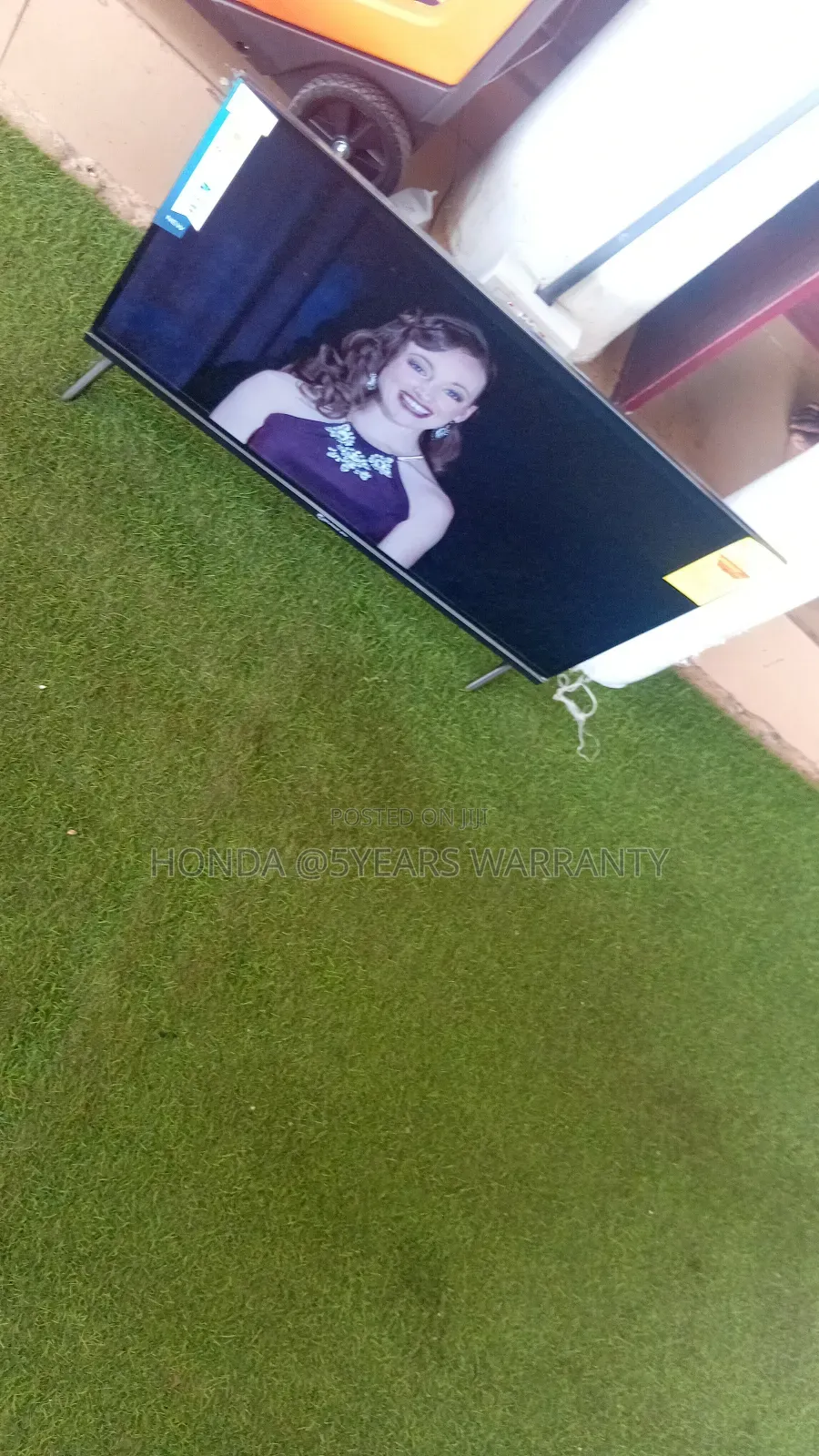 Enjoy Bright Pictures With Dolphine Bay 32"