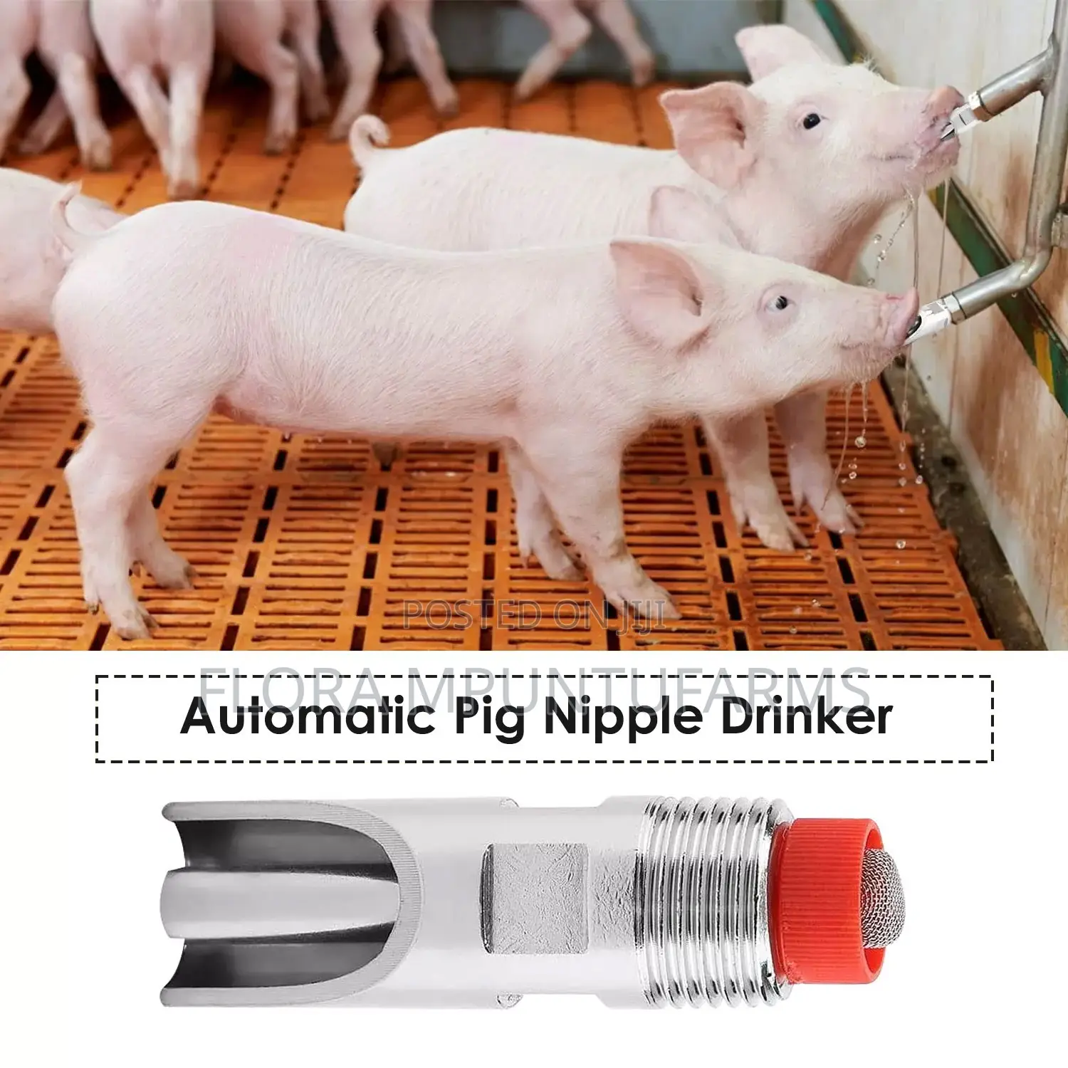 Automatic Pig Nipple Drinker