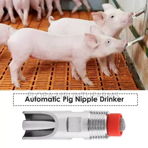 Automatic Pig Nipple Drinker