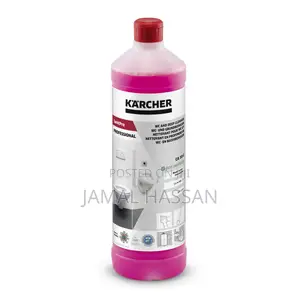 Karcher Sanitpro Wc Deep Cleaner- Ca10c